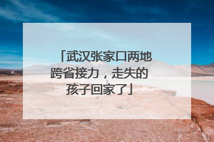 武汉张家口两地跨省接力，走失的孩子回家了