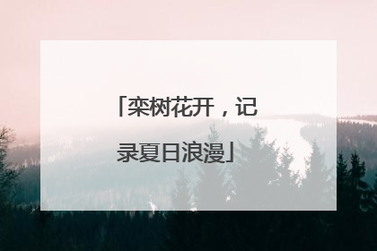 栾树花开，记录夏日浪漫