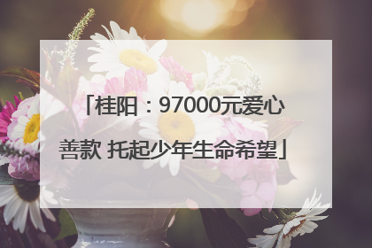 桂阳：97000元爱心善款 托起少年生命希望