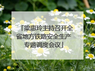 梁惠玲主持召开全省地方铁路安全生产专题调度会议