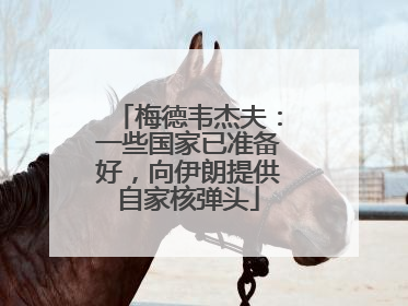 梅德韦杰夫：一些国家已准备好，向伊朗提供自家核弹头