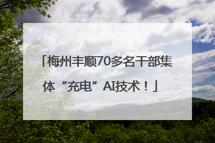 梅州丰顺70多名干部集体“充电”AI技术！