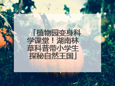 植物园变身科学课堂！湖南林草科普带小学生探秘自然王国