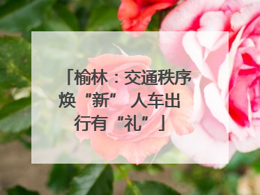 榆林：交通秩序焕“新” 人车出行有“礼”