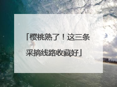 樱桃熟了！这三条采摘线路收藏好