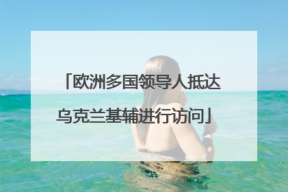 欧洲多国领导人抵达乌克兰基辅进行访问