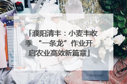 濮阳清丰：小麦丰收季 “一条龙”作业开启农业高效新篇章