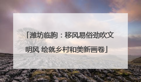 潍坊临朐：移风易俗劲吹文明风 绘就乡村和美新画卷