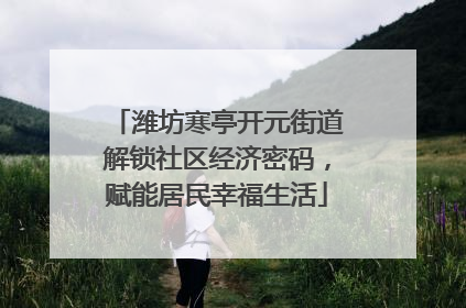 潍坊寒亭开元街道解锁社区经济密码，赋能居民幸福生活
