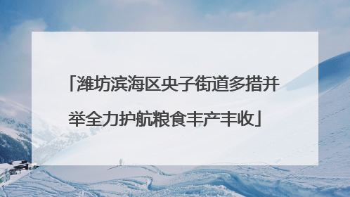 潍坊滨海区央子街道多措并举全力护航粮食丰产丰收
