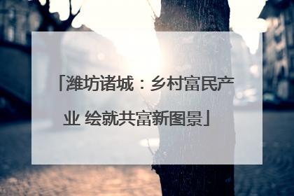 潍坊诸城：乡村富民产业 绘就共富新图景