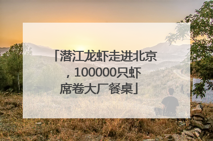 潜江龙虾走进北京，100000只虾席卷大厂餐桌