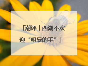 潮评丨西湖不欢迎“粗暴的手”