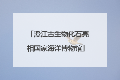 澄江古生物化石亮相国家海洋博物馆