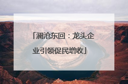 澜沧东回：龙头企业引领促民增收