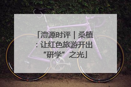 澧源时评｜桑植：让红色旅游开出“研学”之光