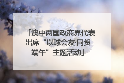 澳中两国政商界代表出席“以球会友·同贺端午”主题活动