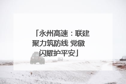 永州高速：联建聚力筑防线 党徽闪耀护平安