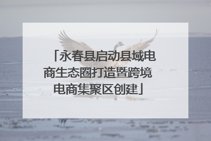 永春县启动县域电商生态圈打造暨跨境电商集聚区创建