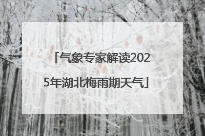 气象专家解读2025年湖北梅雨期天气