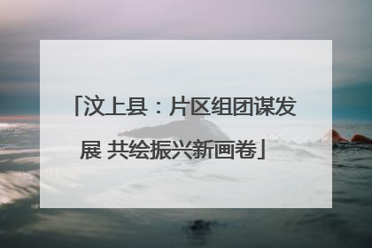 汶上县：片区组团谋发展 共绘振兴新画卷