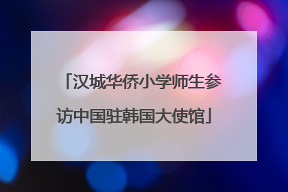 汉城华侨小学师生参访中国驻韩国大使馆