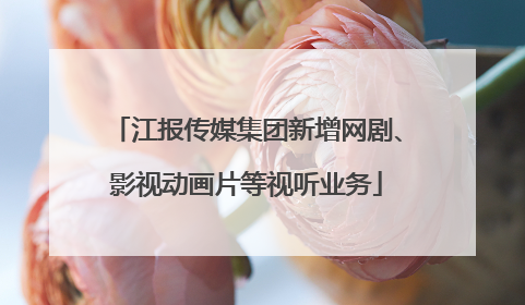 江报传媒集团新增网剧、影视动画片等视听业务
