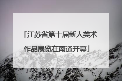 江苏省第十届新人美术作品展览在南通开幕