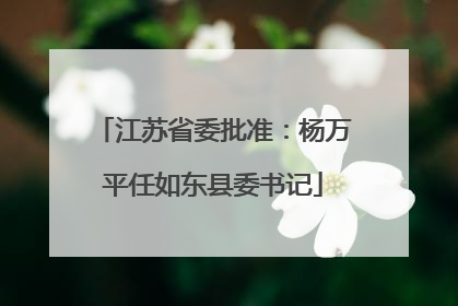 江苏省委批准：杨万平任如东县委书记