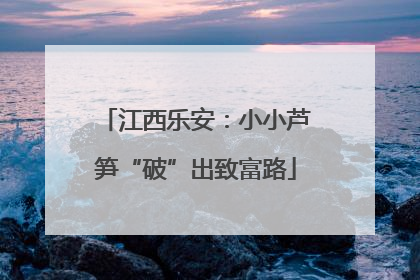 江西乐安：小小芦笋“破”出致富路