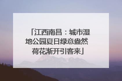 江西南昌：城市湿地公园夏日绿意盎然 荷花渐开引客来