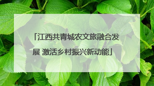 江西共青城农文旅融合发展 激活乡村振兴新动能