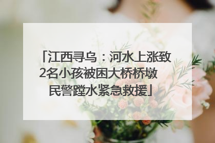 江西寻乌：河水上涨致2名小孩被困大桥桥墩 民警蹚水紧急救援