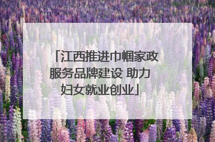 江西推进巾帼家政服务品牌建设 助力妇女就业创业