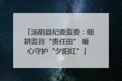 汤阴县纪委监委：细耕监督“责任田” 暖心守护“夕阳红”