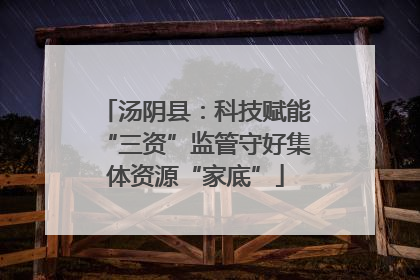 汤阴县：科技赋能“三资”监管守好集体资源“家底”