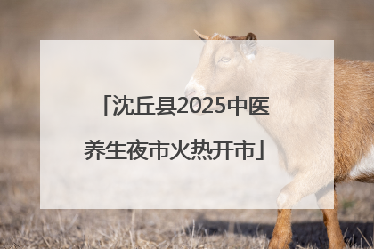 沈丘县2025中医养生夜市火热开市
