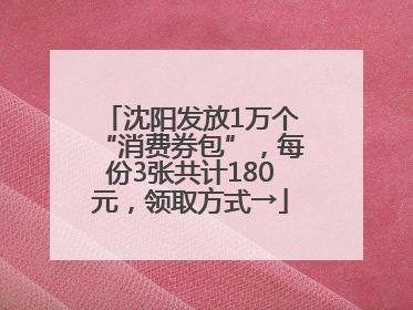 沈阳发放1万个“消费券包”，每份3张共计180元，领取方式→