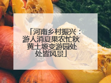 河南乡村振兴：游人消夏果农忙秋 黄土塬变游园处处皆风景