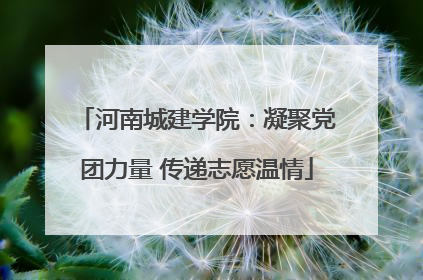 河南城建学院：凝聚党团力量 传递志愿温情