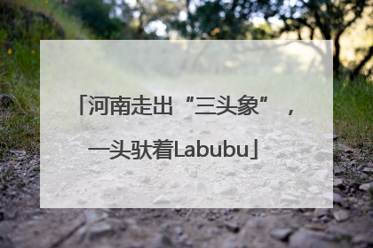 河南走出“三头象”，一头驮着Labubu