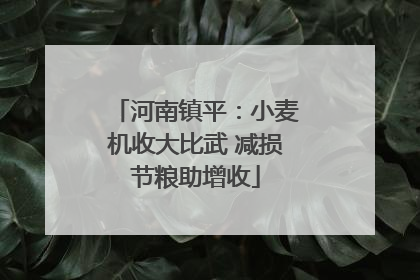 河南镇平：小麦机收大比武 减损节粮助增收