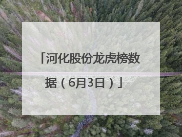 河化股份龙虎榜数据（6月3日）
