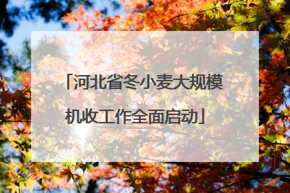 河北省冬小麦大规模机收工作全面启动