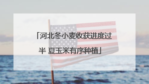 河北冬小麦收获进度过半 夏玉米有序种植