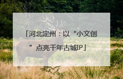 河北定州：以“小文创”点亮千年古城IP