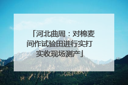 河北曲周：对棉麦间作试验田进行实打实收现场测产
