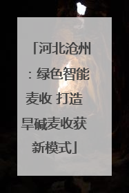 河北沧州：绿色智能麦收 打造旱碱麦收获新模式