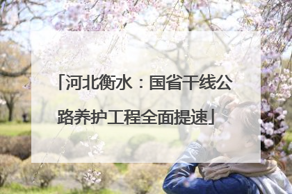 河北衡水：国省干线公路养护工程全面提速