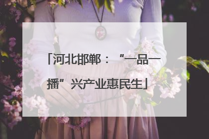 河北邯郸：“一品一播”兴产业惠民生
